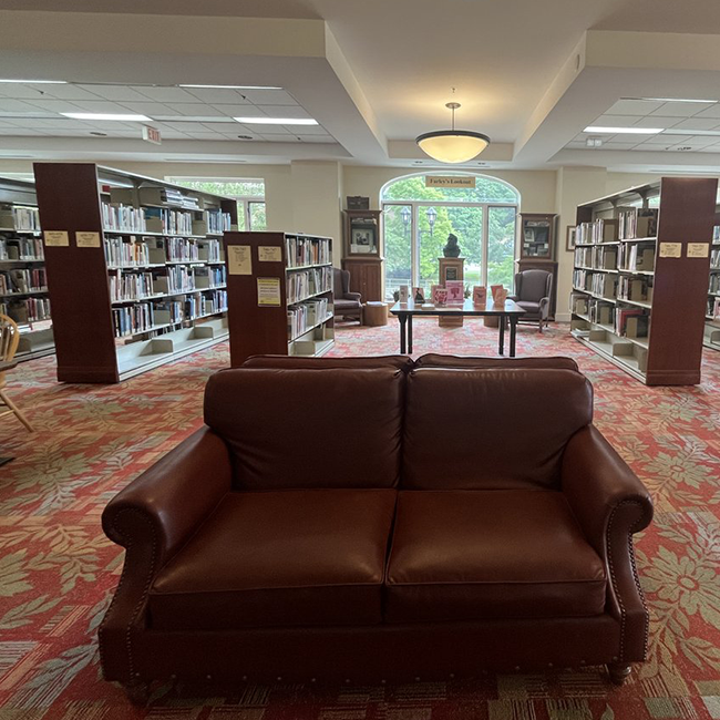 Brown leather couch in front of shelves of books.