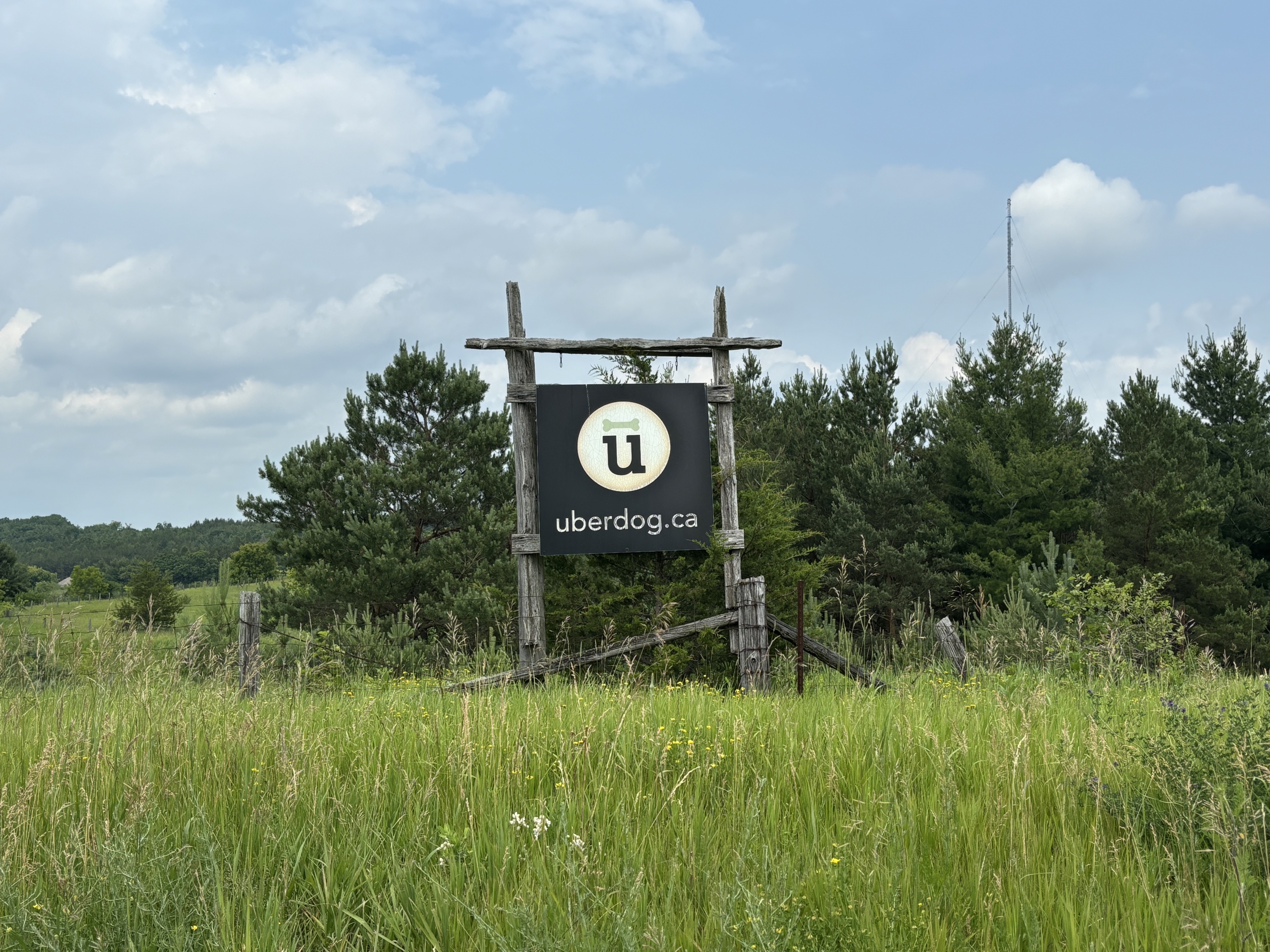Photo of Uberdog sign hanging on a tree.