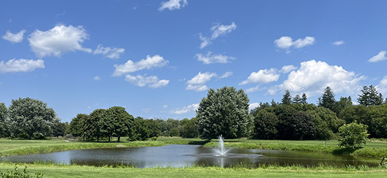 Large circular pond with a sprinkler in the middle.