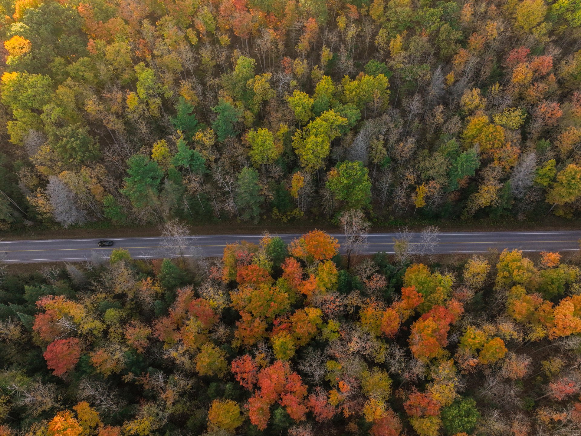 Top down view of car driving on a country road surrounded by fall colour