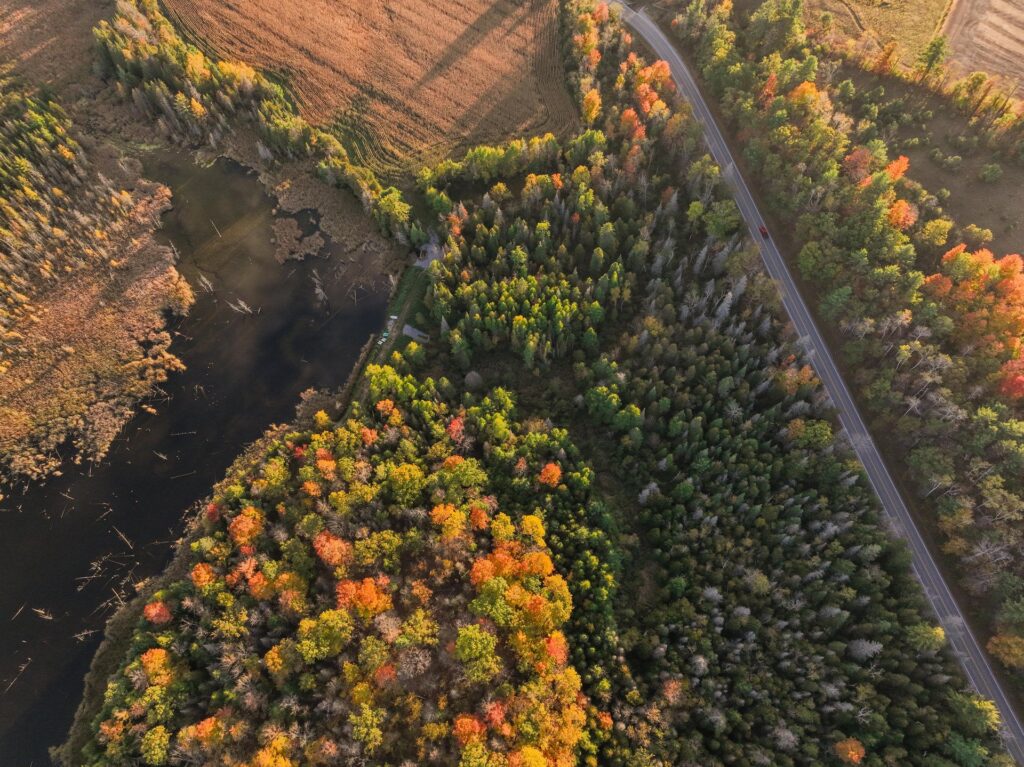 drone view of fall coloured countryside