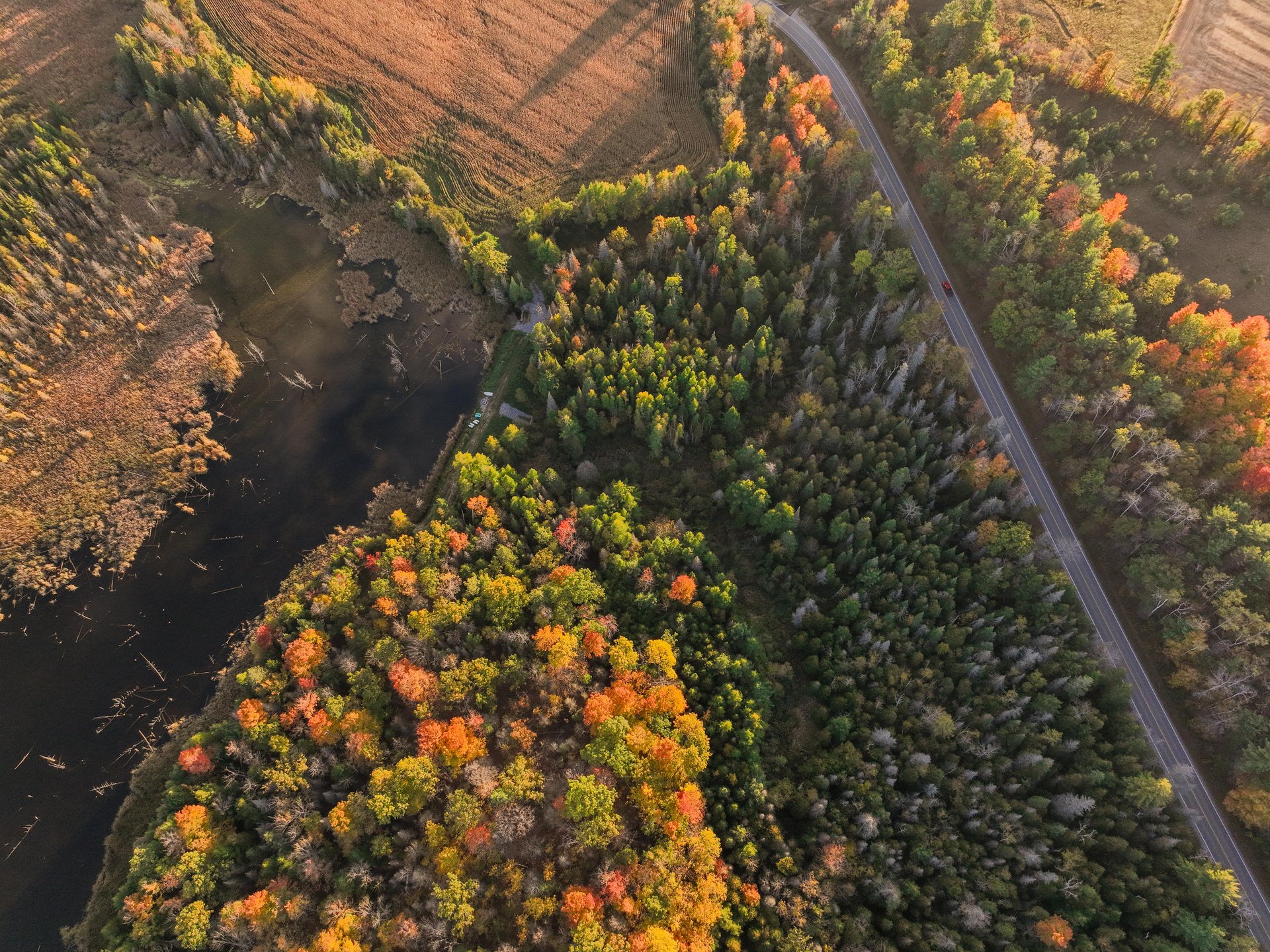 drone view of fall coloured countryside