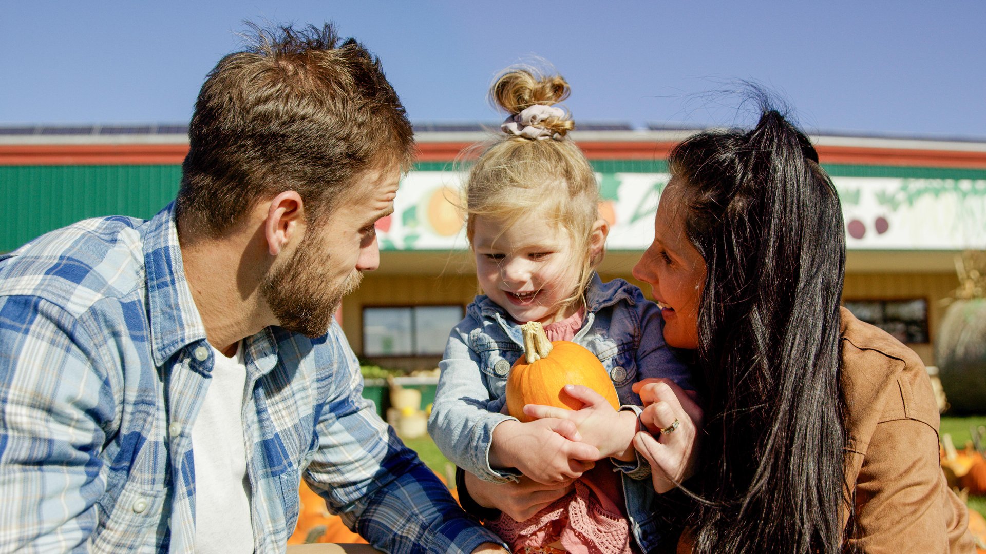 Parents and small child in a pumpkin patch