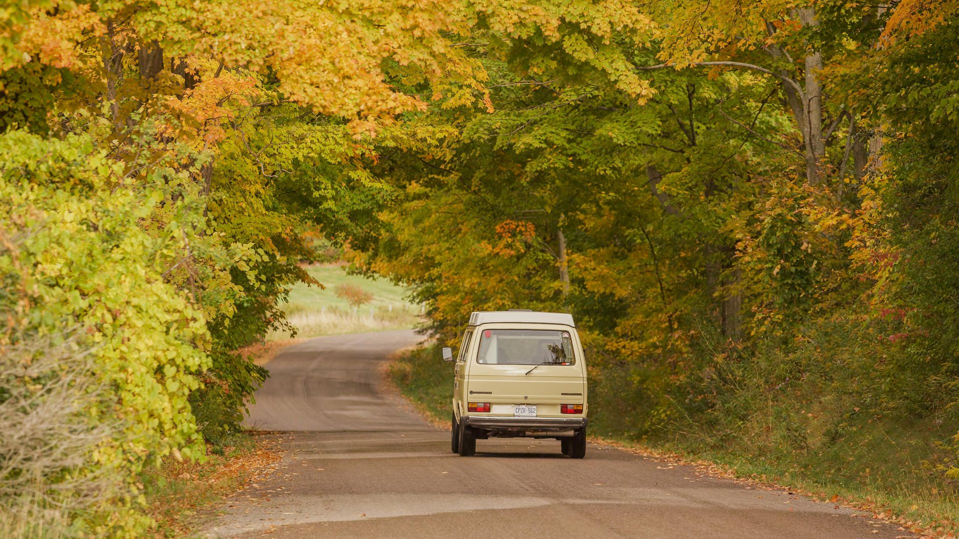 Volkswagen van driving down country road with arch of fall coloured trees