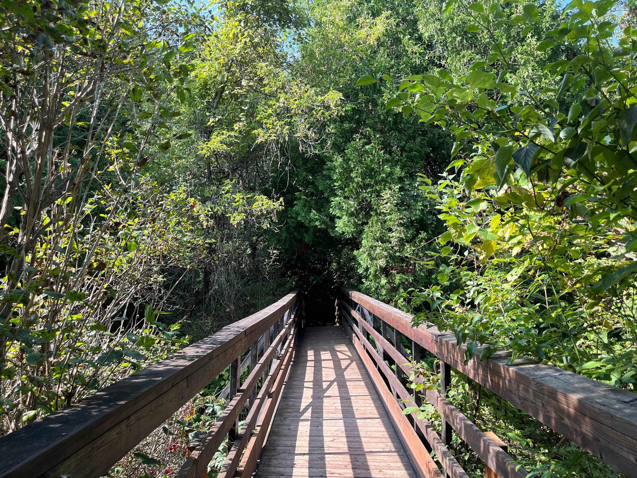 Wooden bridge on the Goodrich Loomis Conservation Area trail