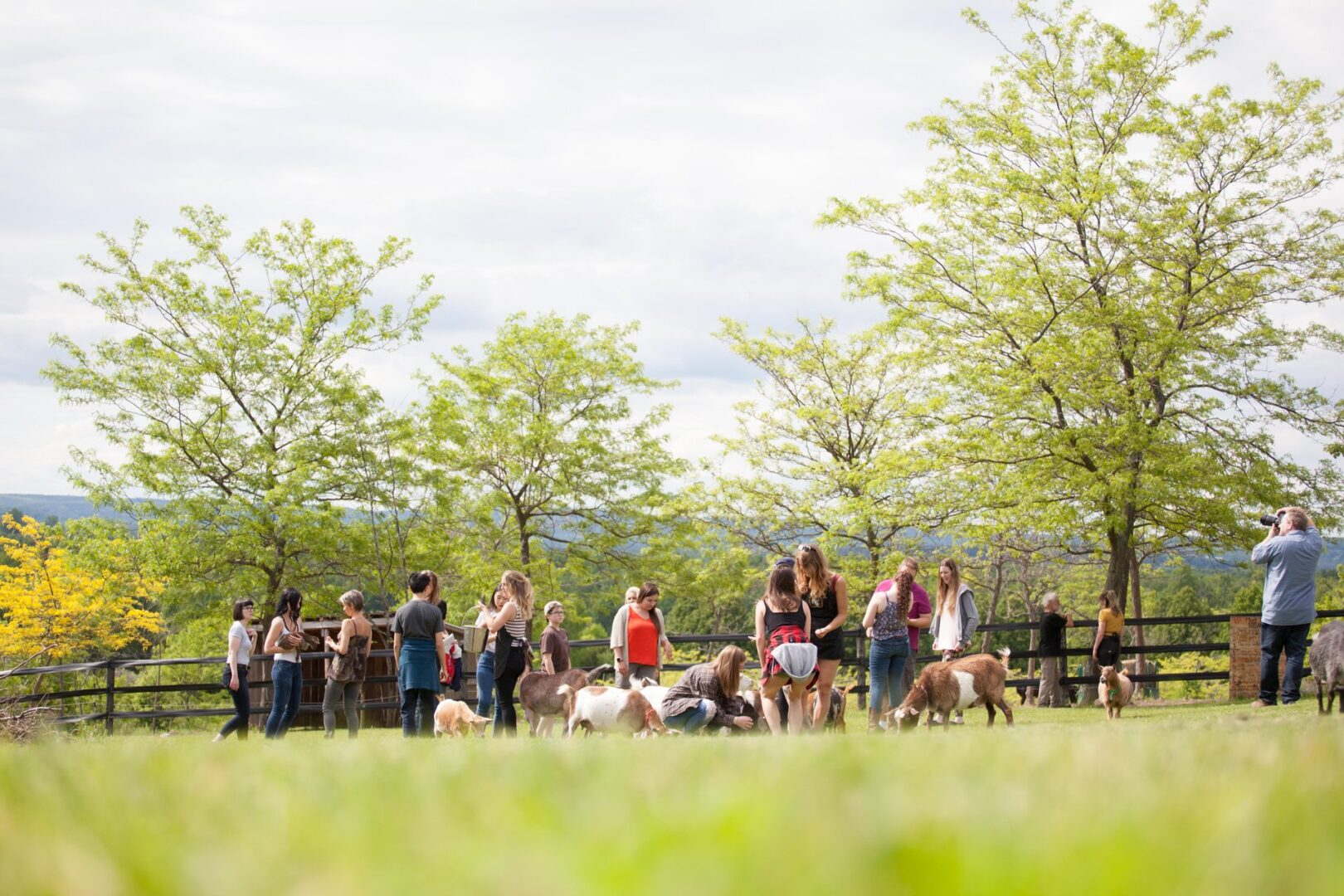 Group of people participating in an agritourism experience