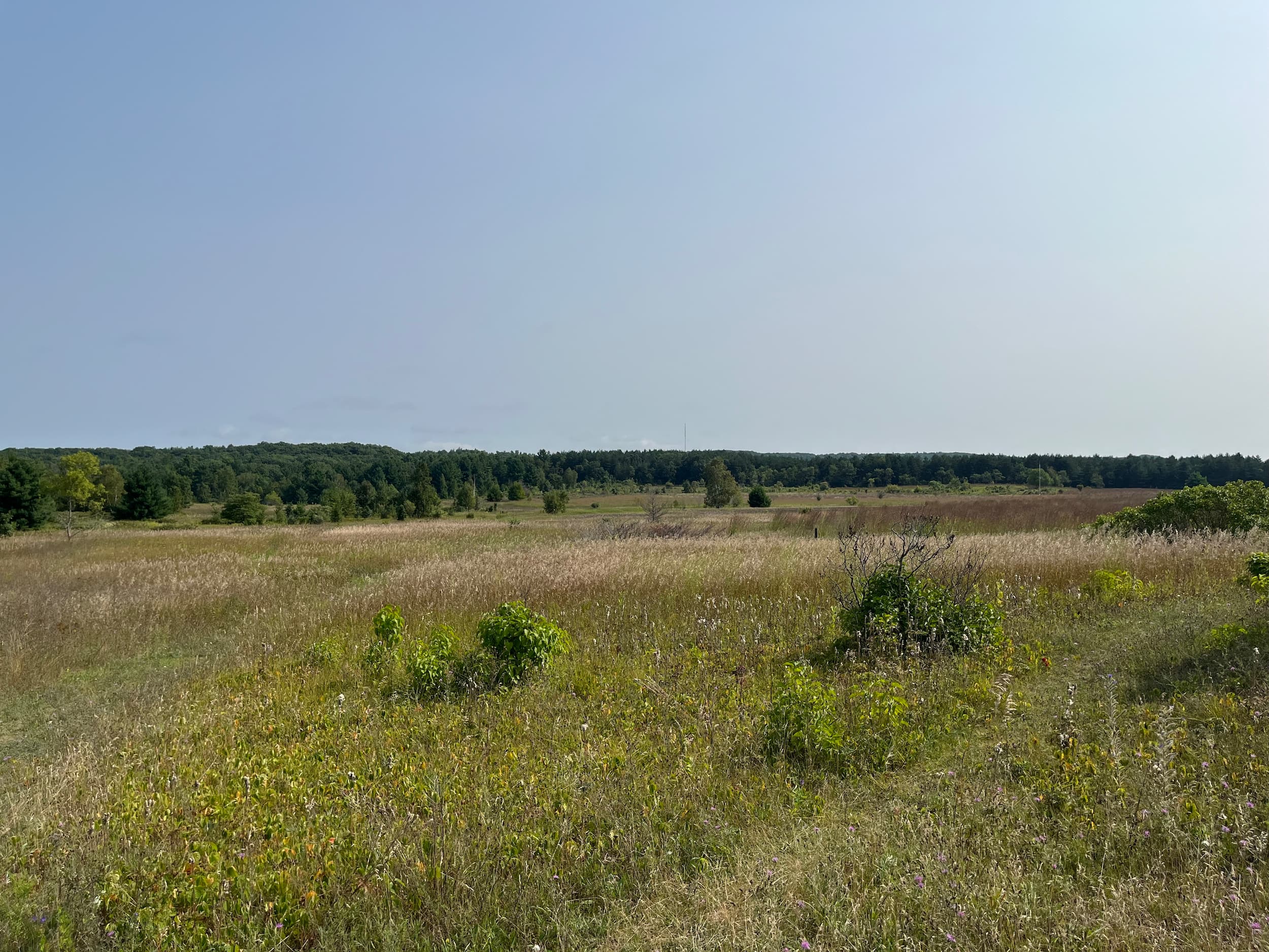 Grasslands at Hazel Bird Nature Reserve