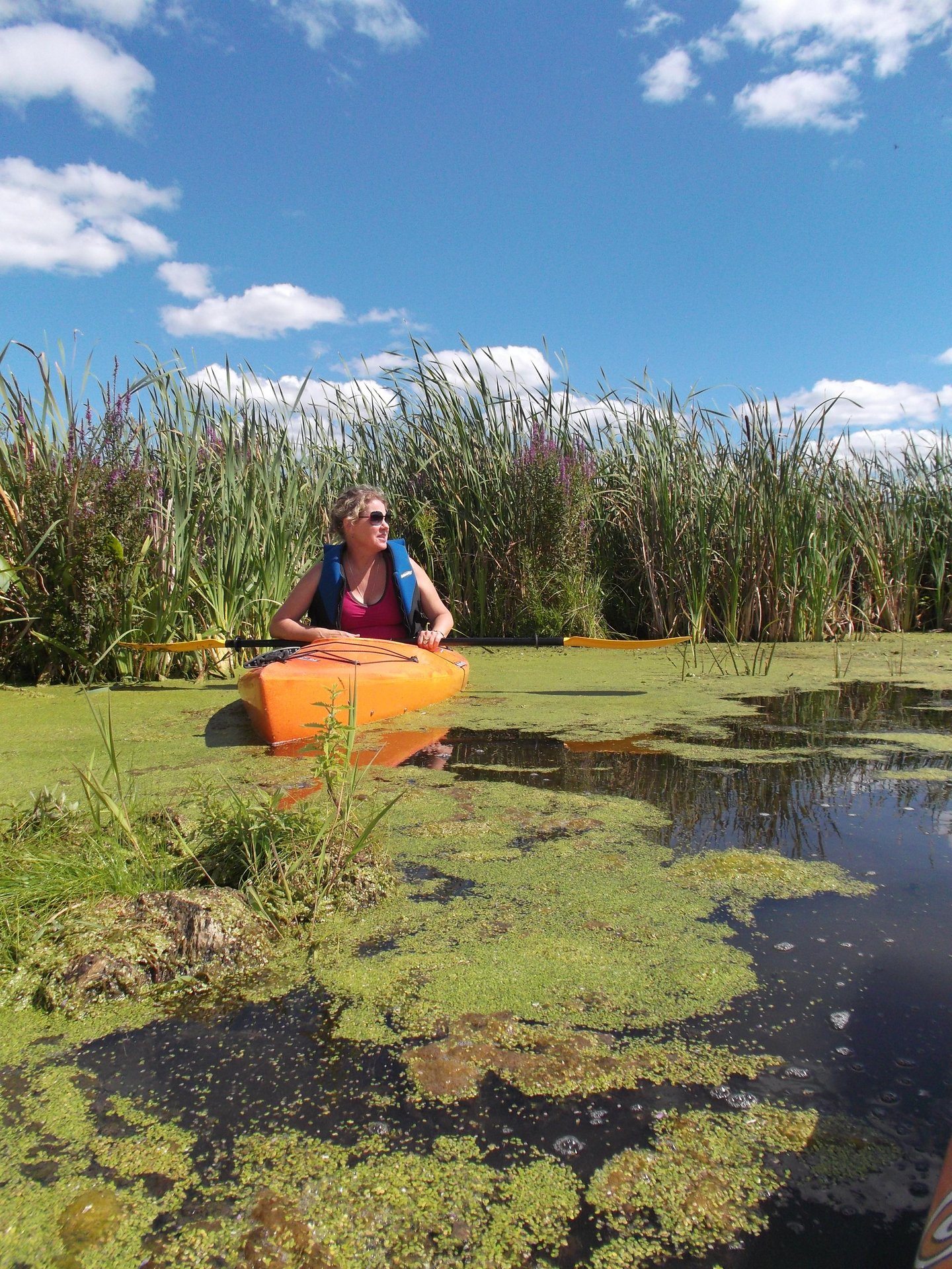 Woman in an orange kayak paddling through a marshy area
