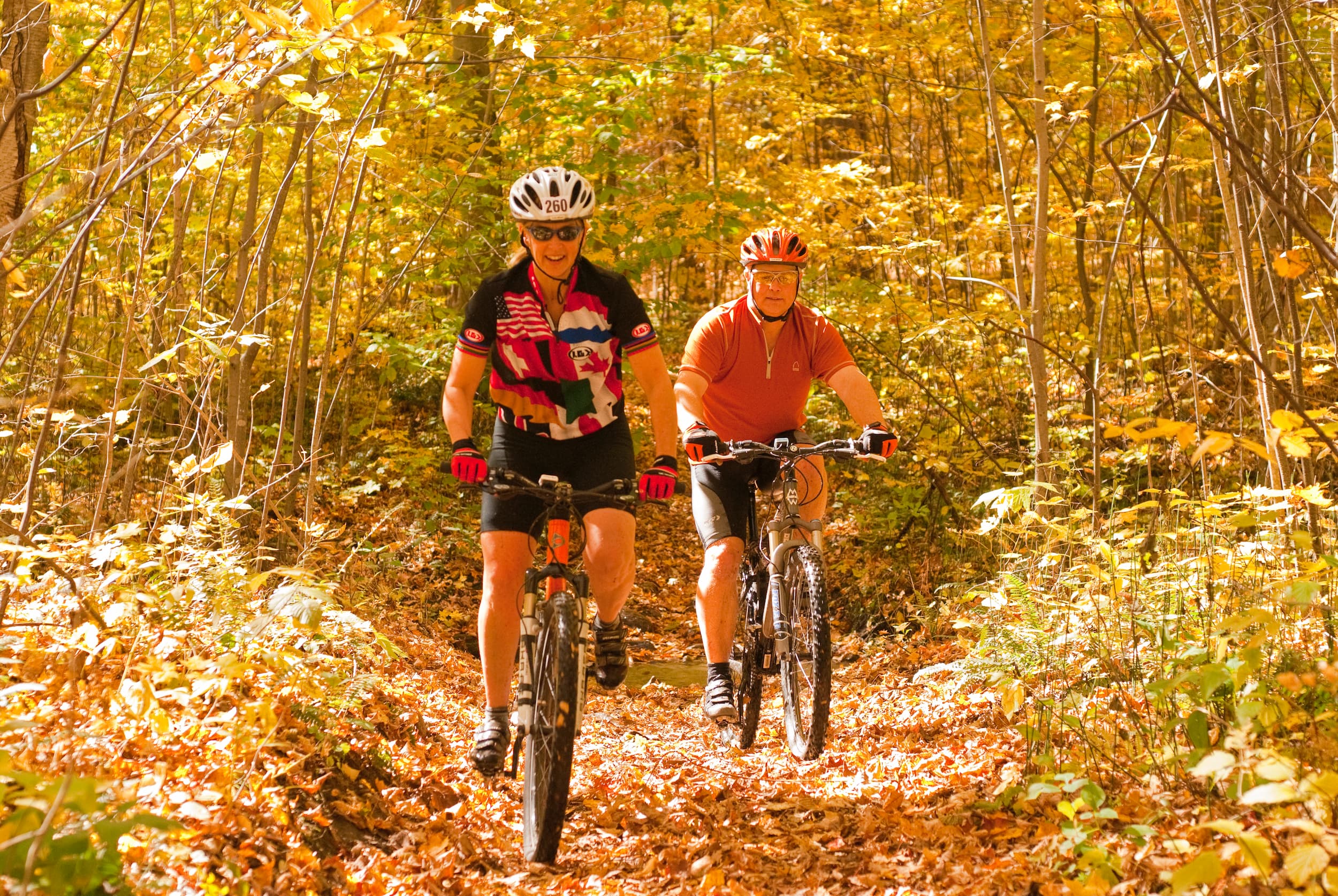 2 cyclists riding on a trail in the Ganaraska Forest in fall