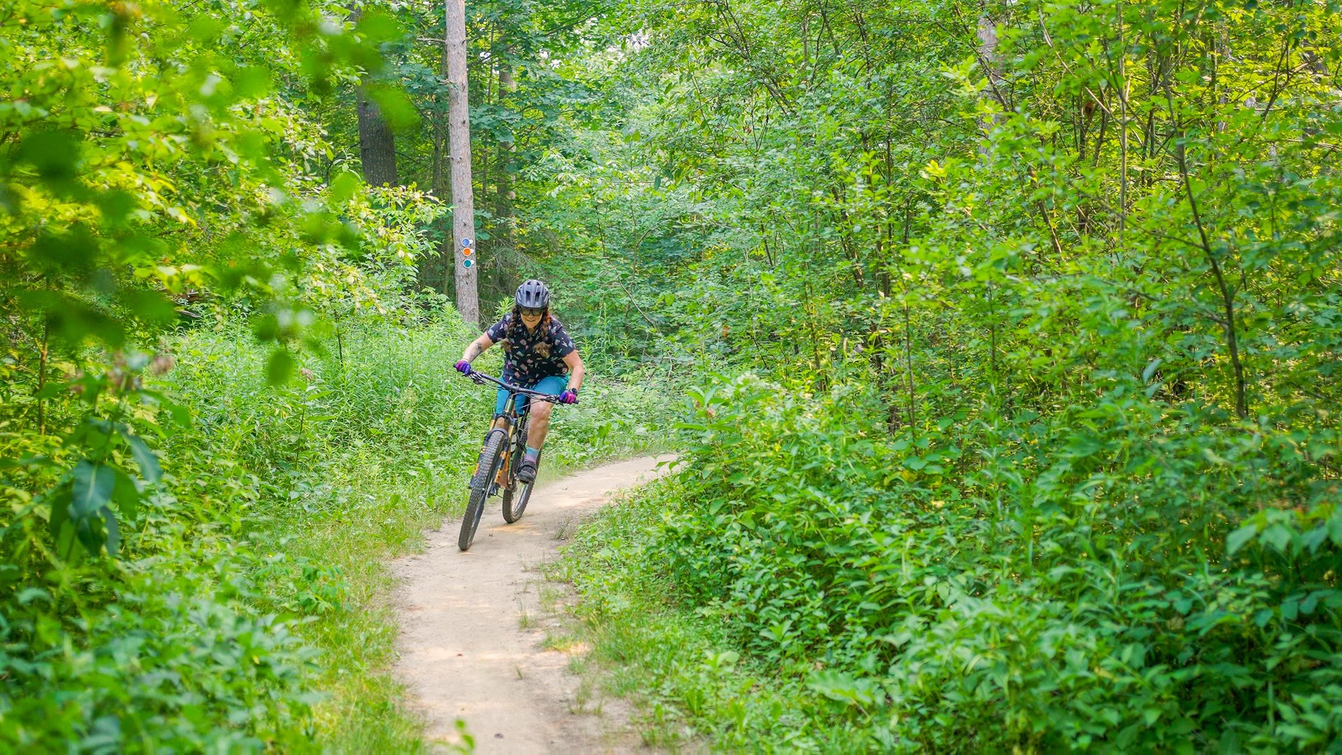 cyclist riding on a forest trail