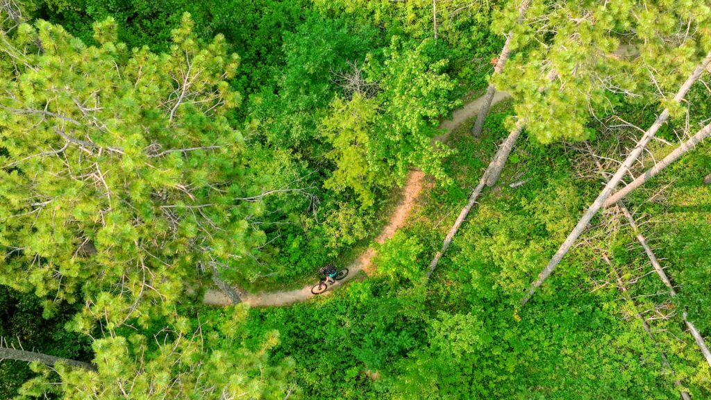 Top down view of mountain biker in forest