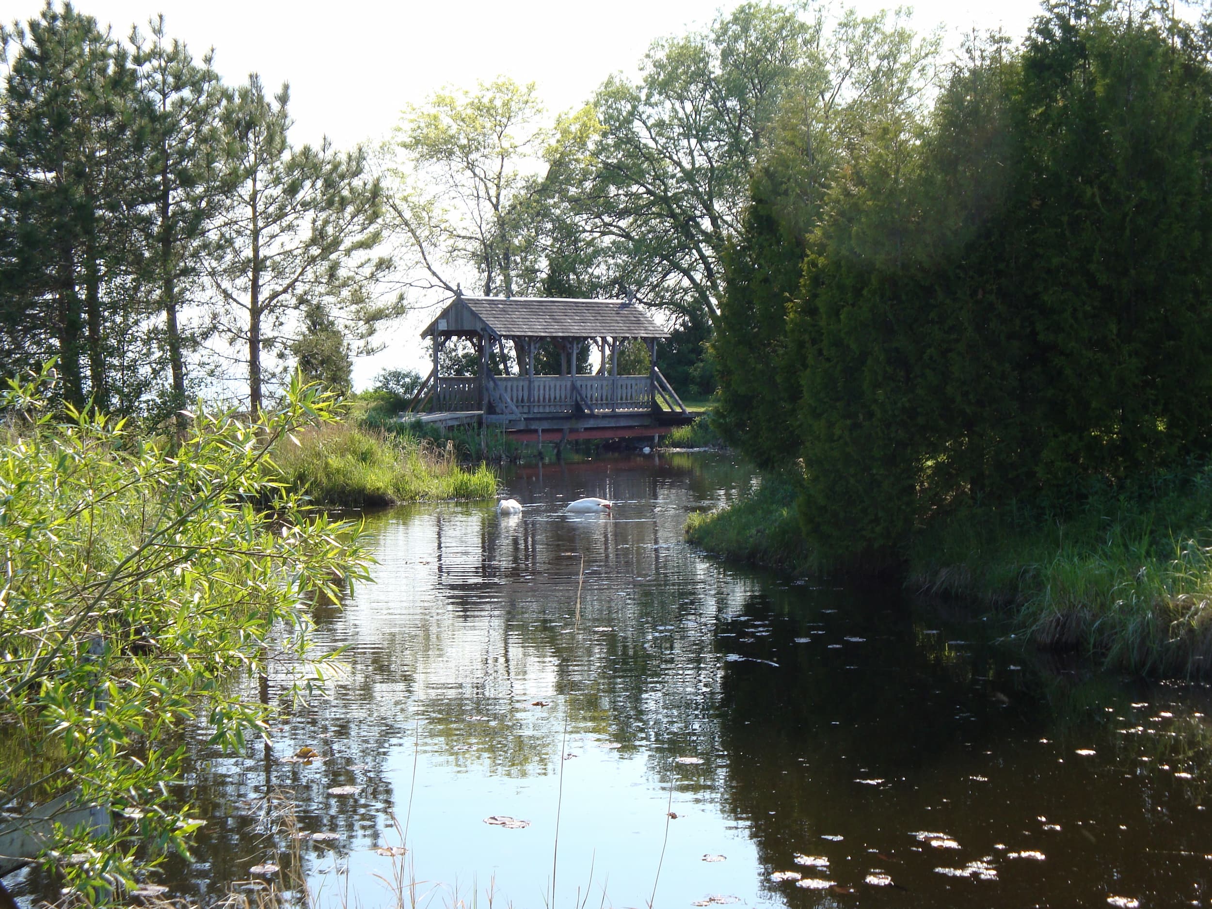 Covered bridge over a small body of water at Nawautin Nature Sanctuary