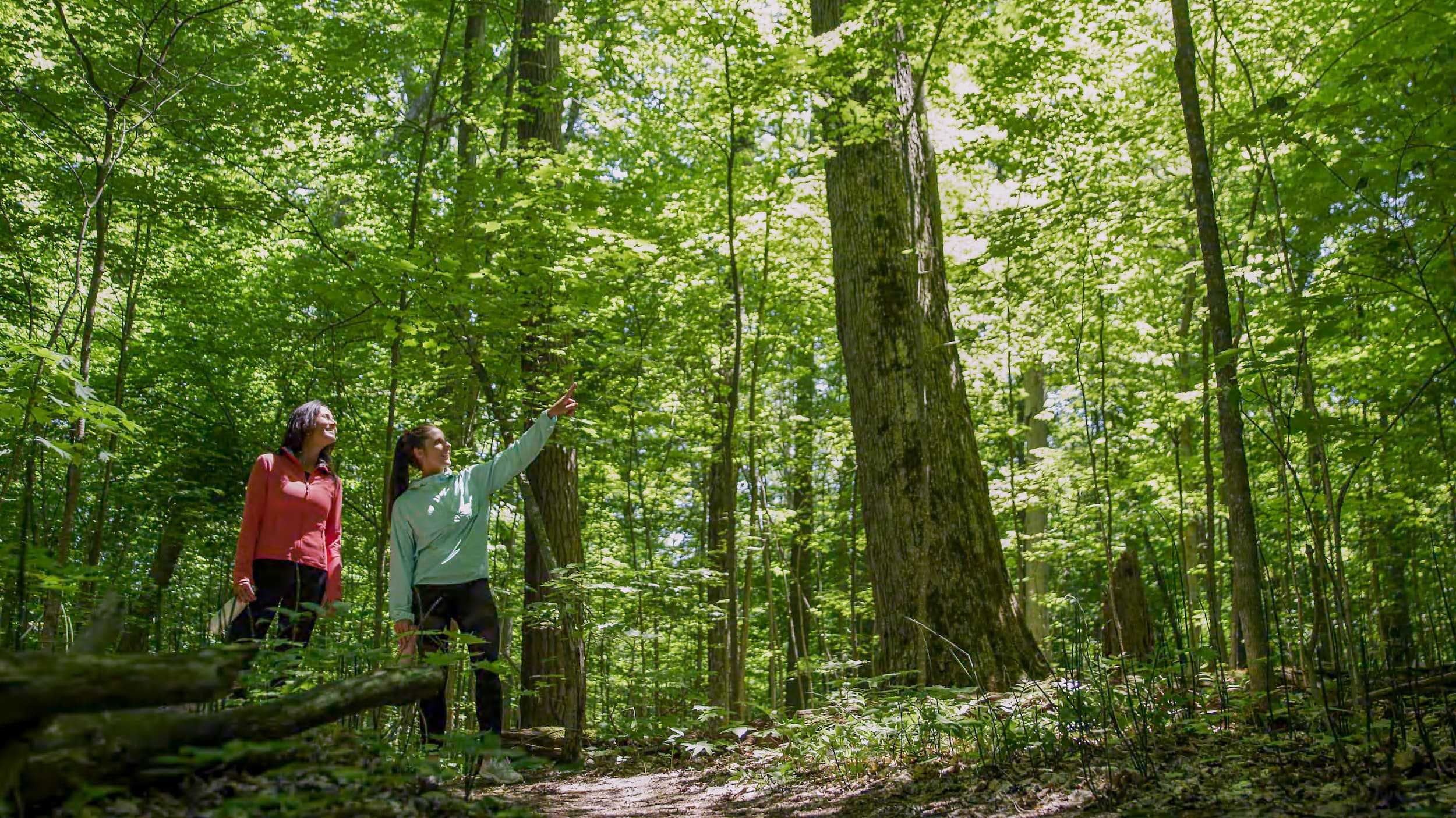 Two women on a hike at Peter's Woods Nature Reserve in spring.