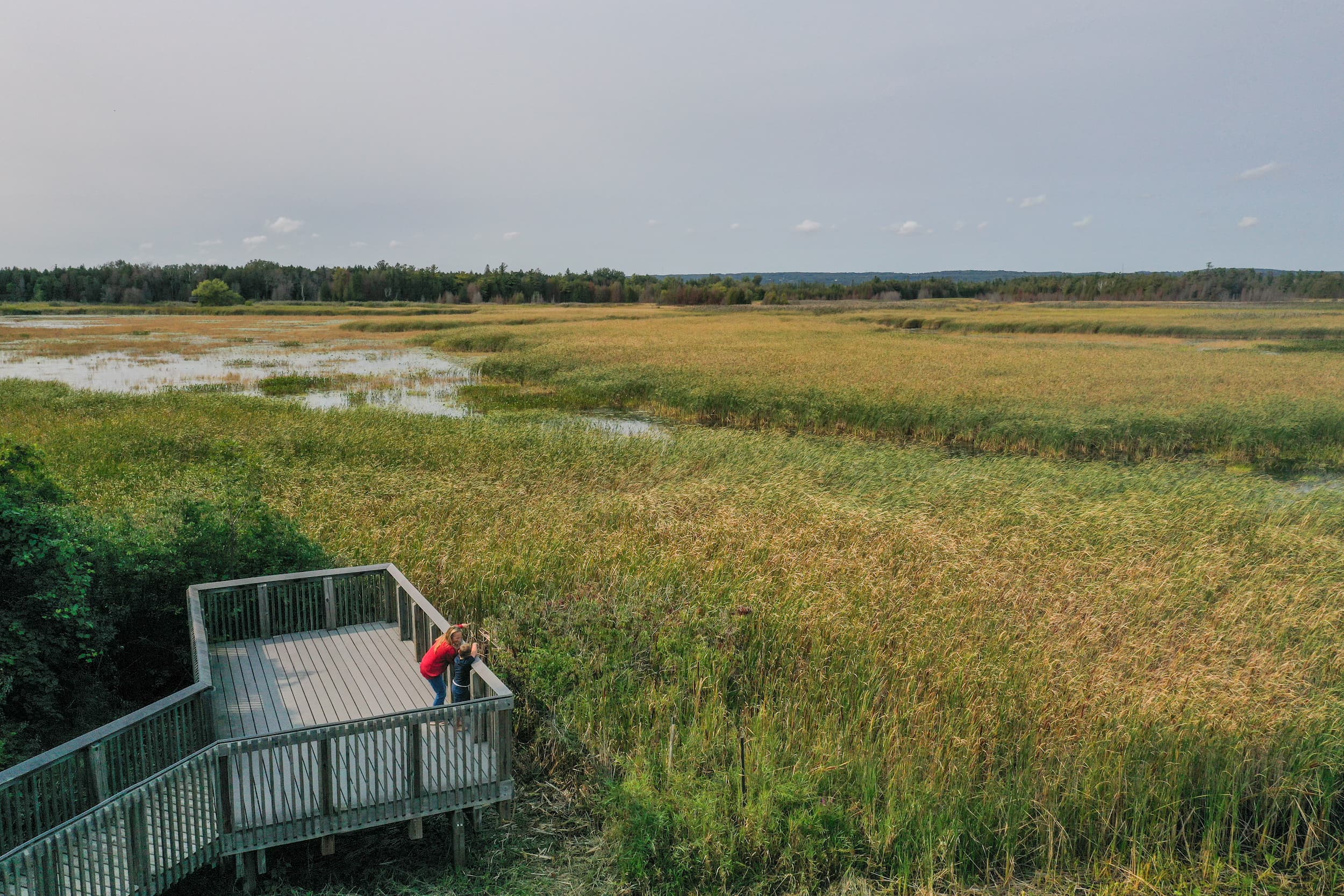 Drone view of a lookout point over a marsh at Presqu'ile Provincial Park.