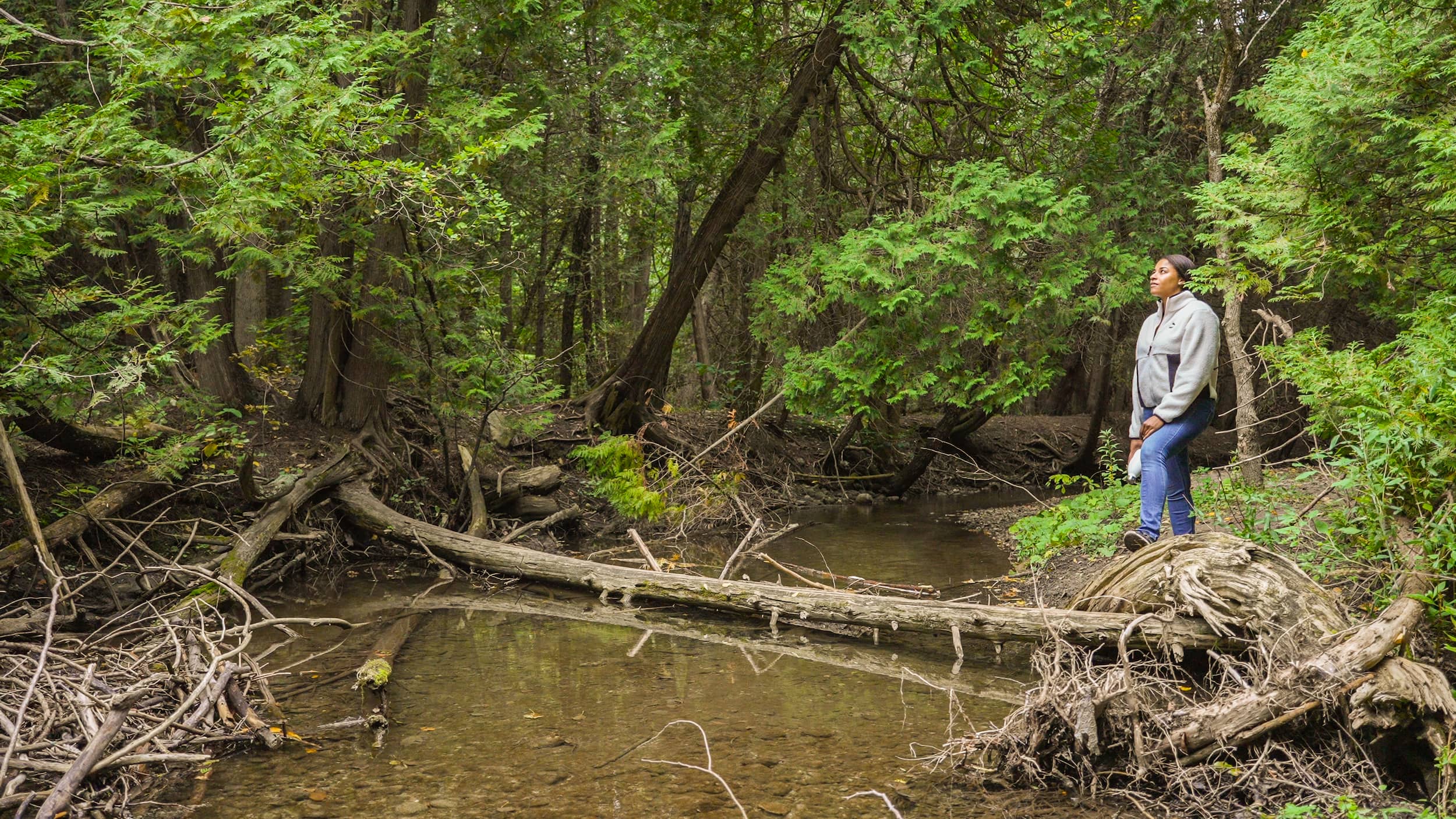 Woman standing at the edge of a river bank in Proctor Park Conservation Area