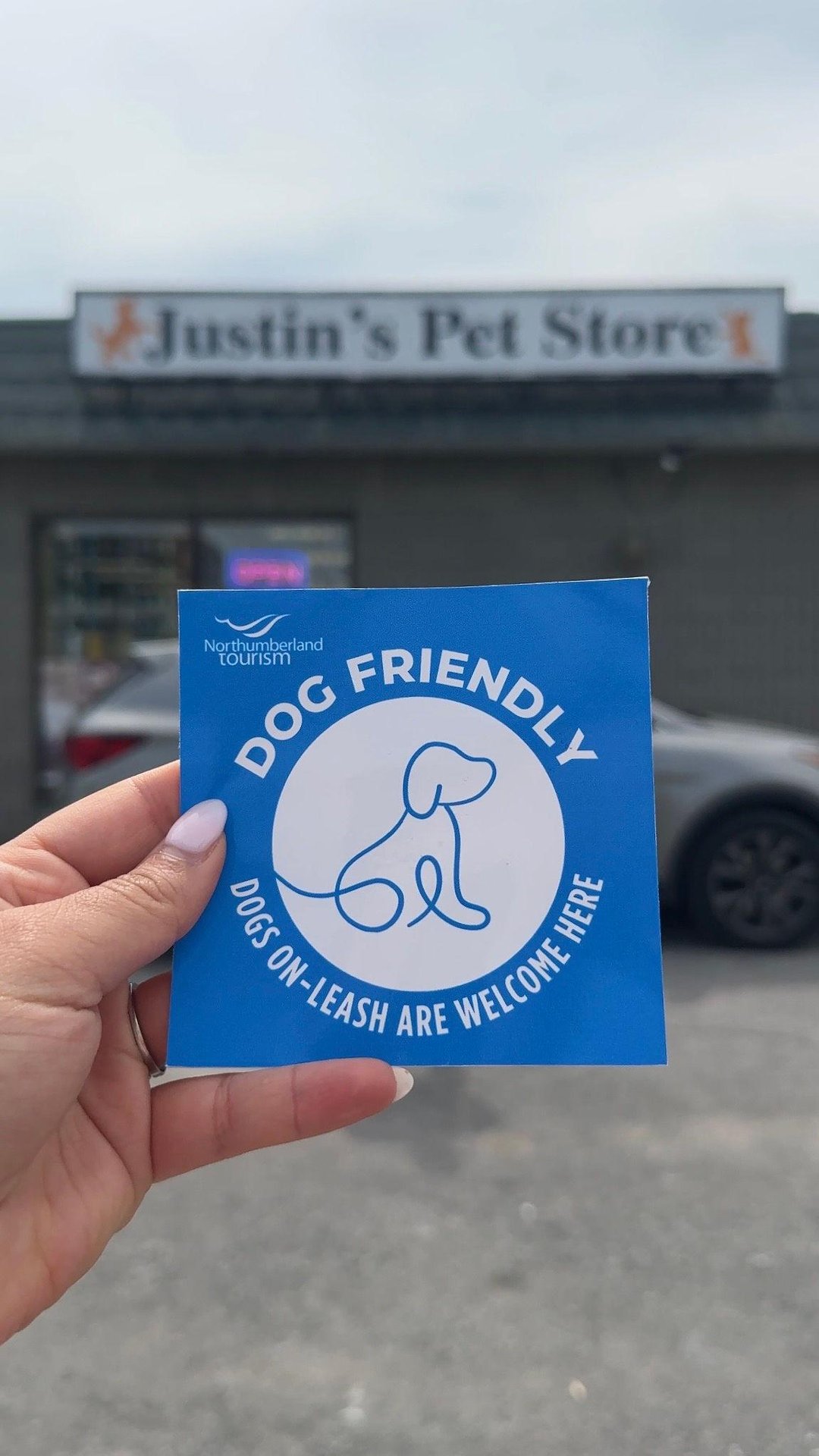 Hand holding a blue dog friendly sticker in front of Justin's Pet Store