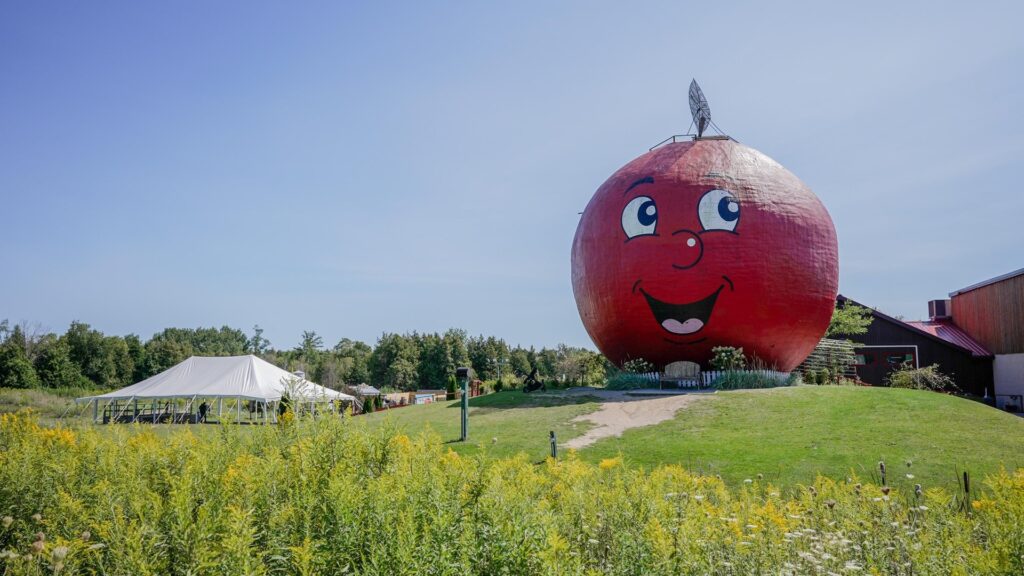 Mr Applehead at The Big Apple