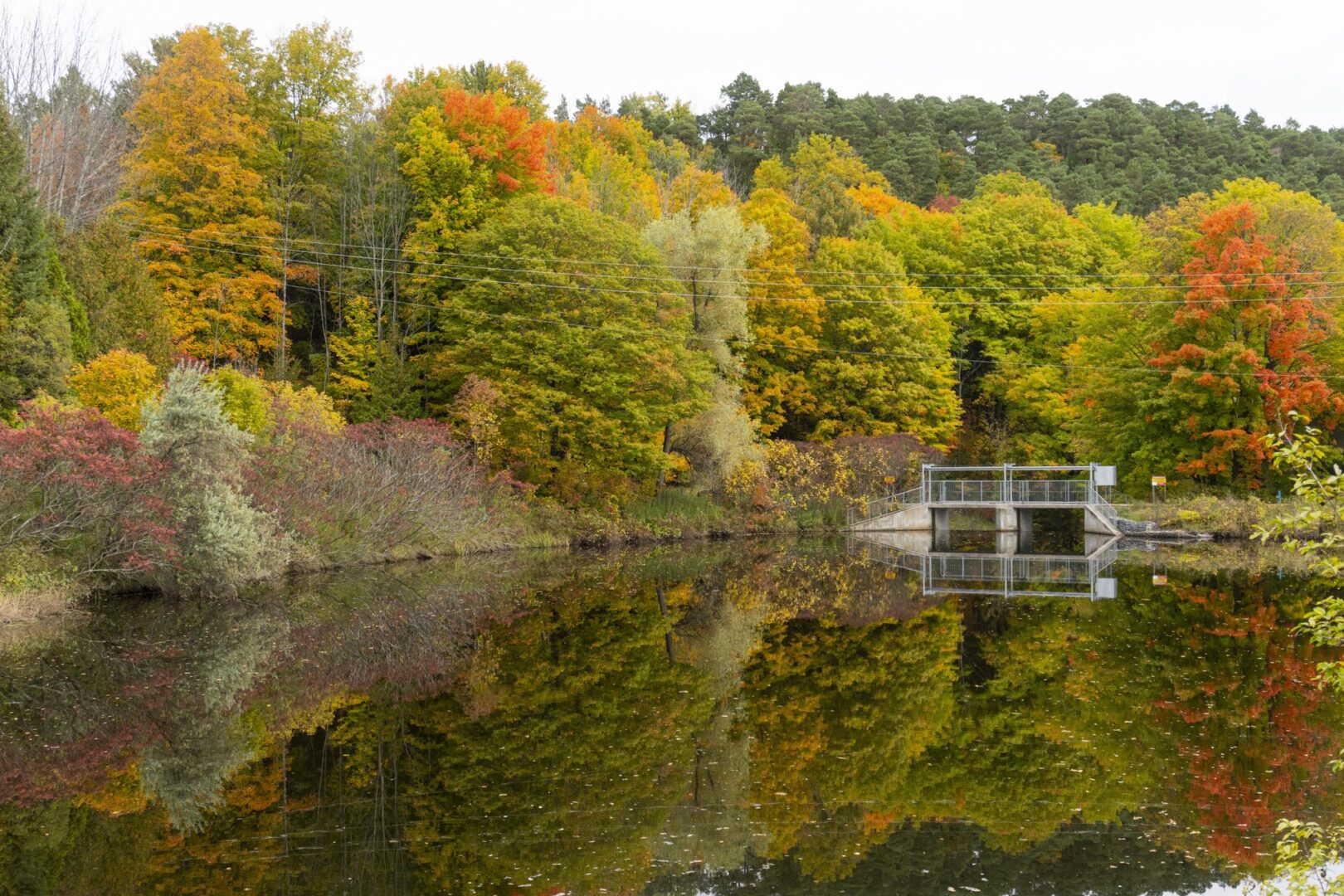 pond with small bridge in fall