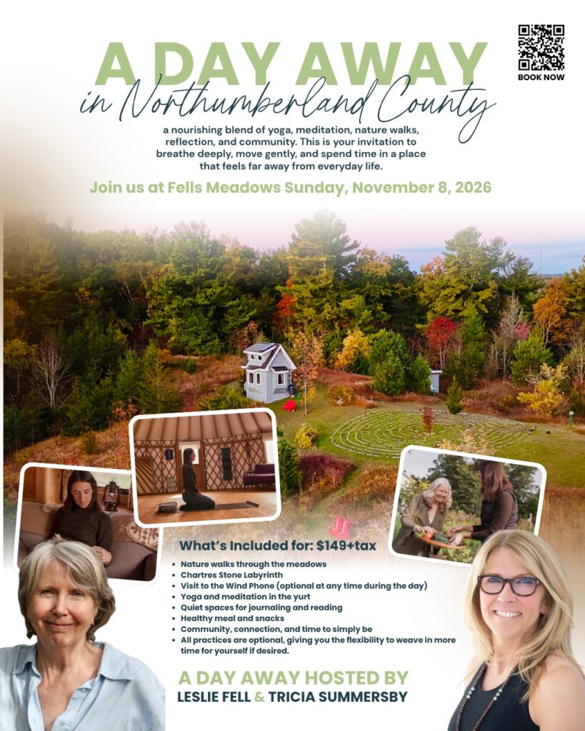 A Day Away graphic poster with images from Fells Meadows and portraits of facilitators.