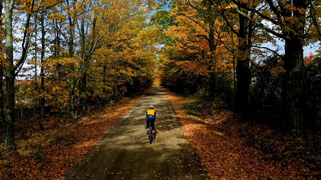 Man riding bike on a road surrounded by fall colours