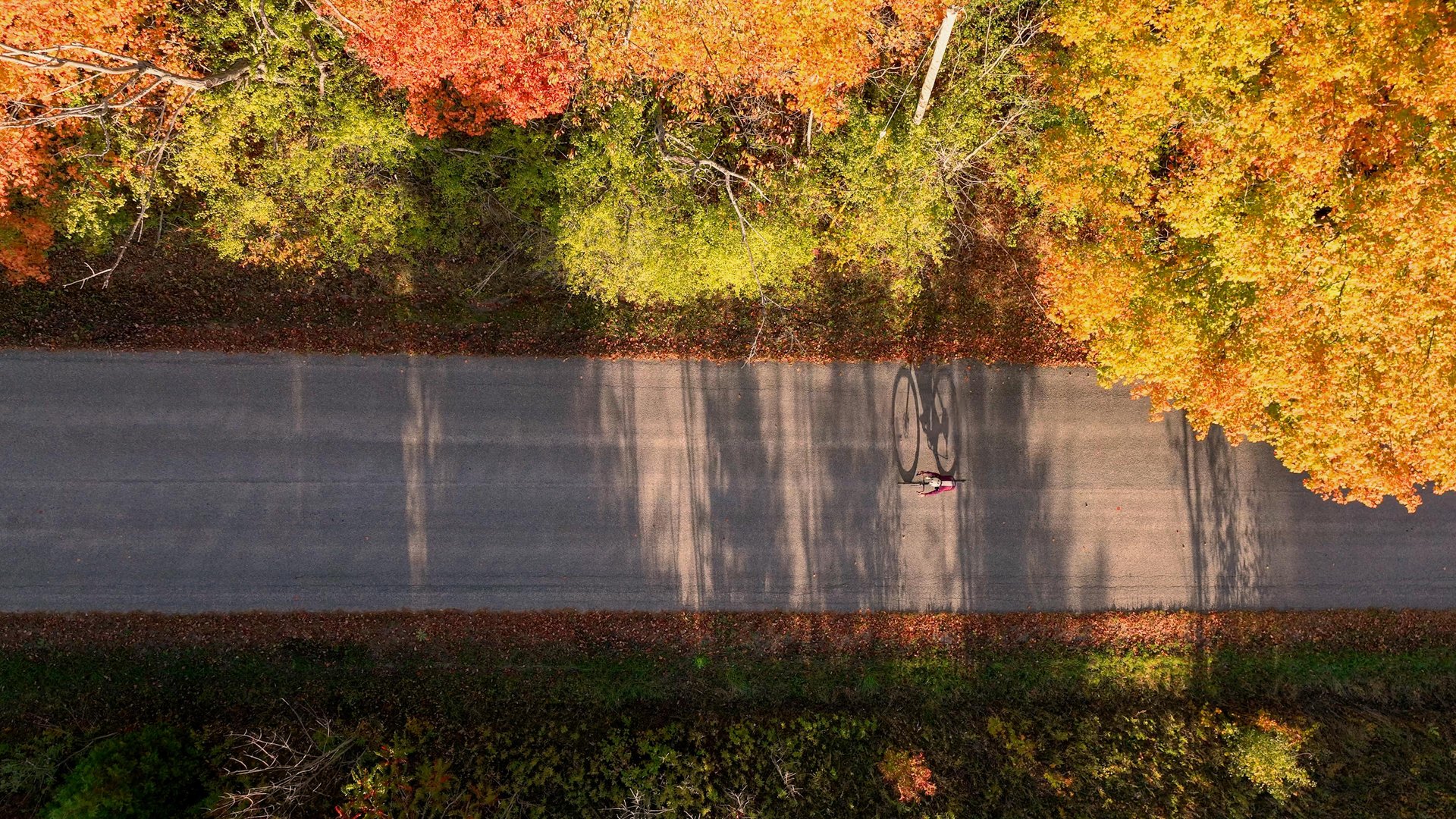 top down view of cyclist on a road in fall