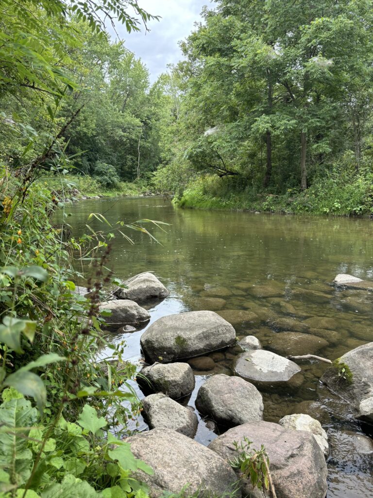 Ganaraska River at Sylvan Glen Conservation Area